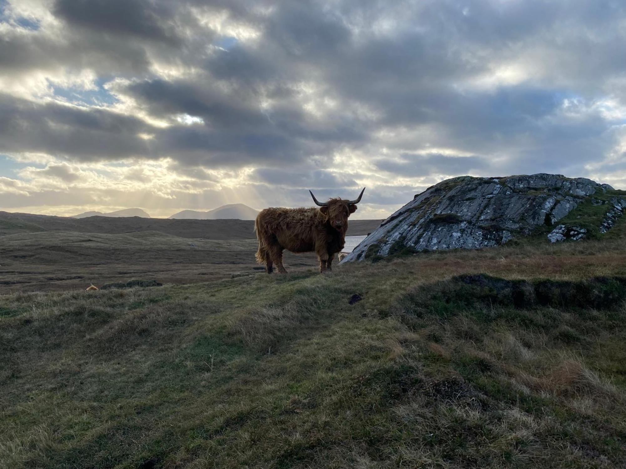 Seapods - Isle Of Lewis - Luxury En-Suite Pods On The Edge Of The Atlantic Ocean Aird Uig Esterno foto